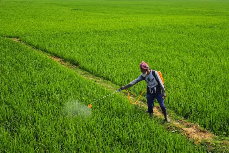 大城塑料包装桶密封抗腐蚀性能解析及化工涂料行业应用